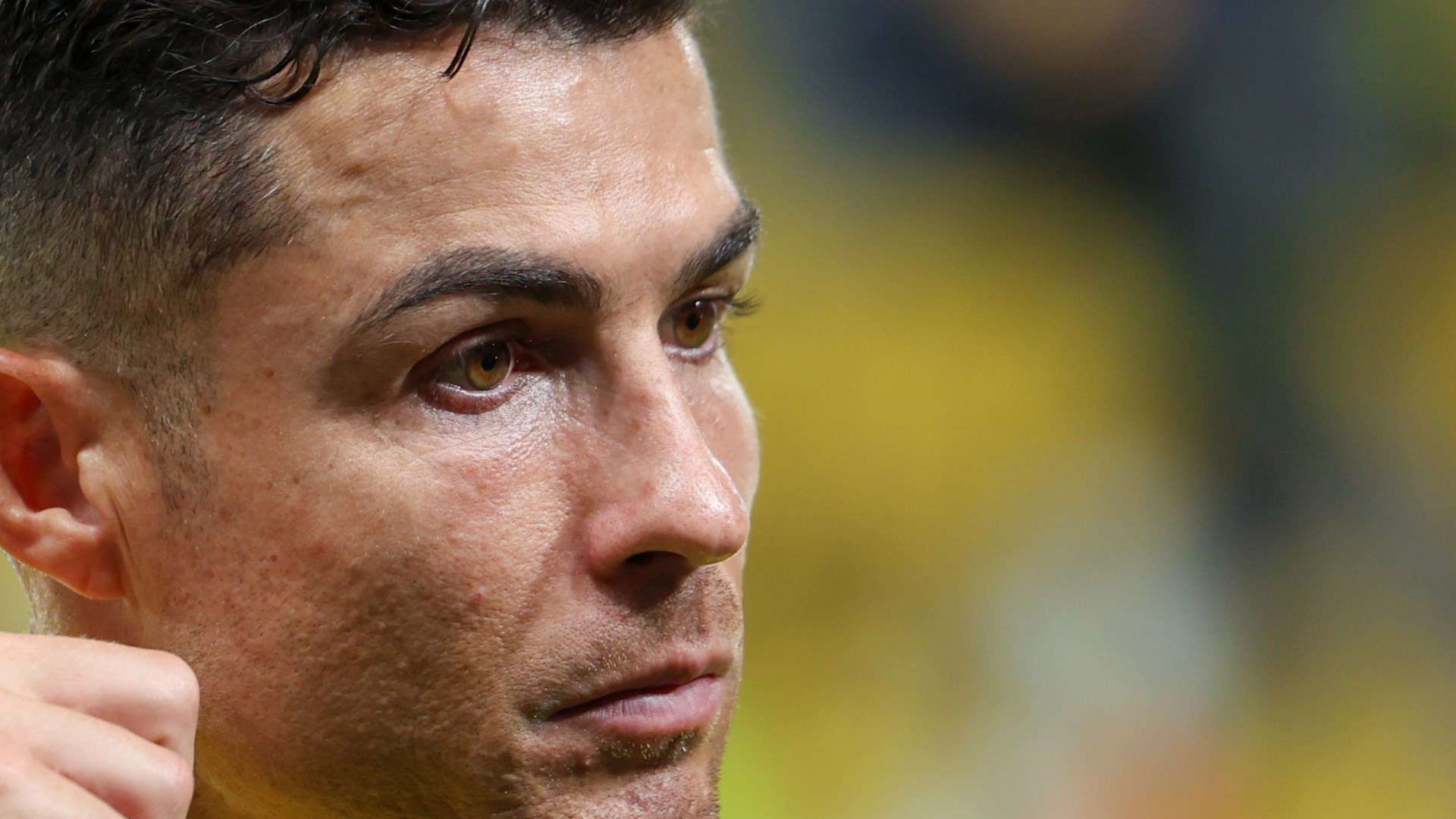 奥运中获得 奥运中获得